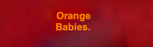 orangebabies3