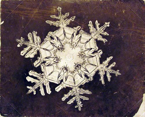 snowflake-2_1563437i