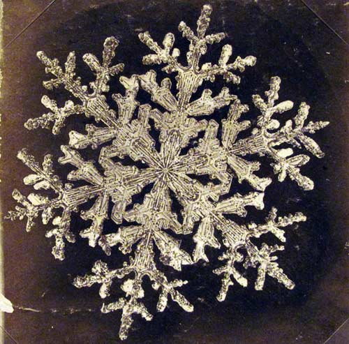 snowflake-5_1563433i