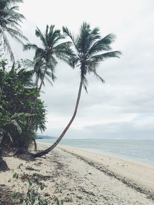 PiaJaneBijkerk_coralcoast_fiji_2015_1