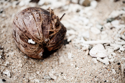 PiaJaneBijkerk_coralcoast_fiji_2015_13