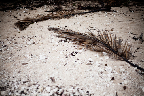 PiaJaneBijkerk_coralcoast_fiji_2015_16