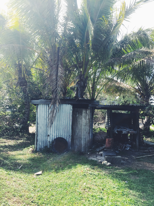 PiaJaneBijkerk_coralcoast_fiji_malevu_2015_7