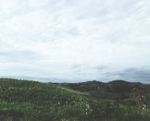 PiaJaneBijkerk_fiji_vitilevu_2015_3